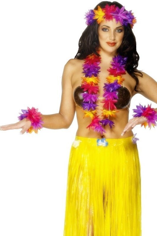 Hawaii pärgade komplekt, lilla hind ja info | Kostüümid ja maskid | hansapost.ee