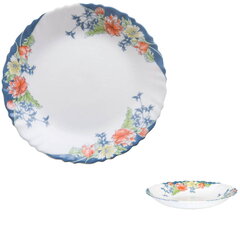 ARCOPAL Florine обеденный сервис, 19 частей цена и информация | Посуда, тарелки, обеденные сервизы | hansapost.ee