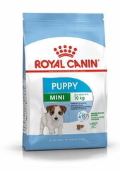 Royal Canin mazo šķirņu kucēniem Mini Junior, 2 kg цена и информация | Сухой корм для собак | hansapost.ee