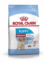 Корм для собак Royal Canin Medium Junior, 4 кг цена и информация | Сухой корм для собак | hansapost.ee