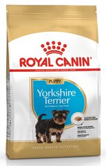 Koeratoit Royal Canin Yorkshire Terrier 29 Junior 7,5 kg hind ja info | Koerte kuivtoit ja krõbinad | hansapost.ee