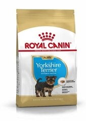 Корм для собак Royal Canin Yorkshire Terrier 29 Junior 0,5 кг цена и информация | Сухой корм для собак | hansapost.ee
