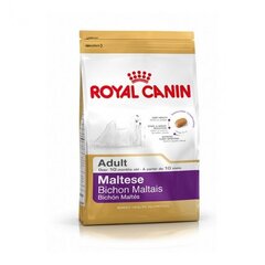 Royal Canin Maltese 0,5 g цена и информация | Сухой корм для собак | hansapost.ee