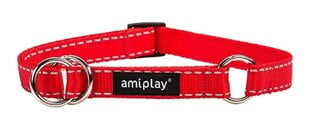 Poolpoov kaelarihm Amiplay Reflective, L, punane hind ja info | Koerte kaelarihmad ja traksid | hansapost.ee