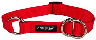 Poolpoov kaelarihm Amiplay Basic, L, punane hind ja info | Koerte kaelarihmad ja traksid | hansapost.ee