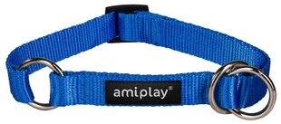 Полу-удушающий ошейник Amiplay Basic, XL, синий цена и информация | Ошейники, подтяжки для собак | hansapost.ee
