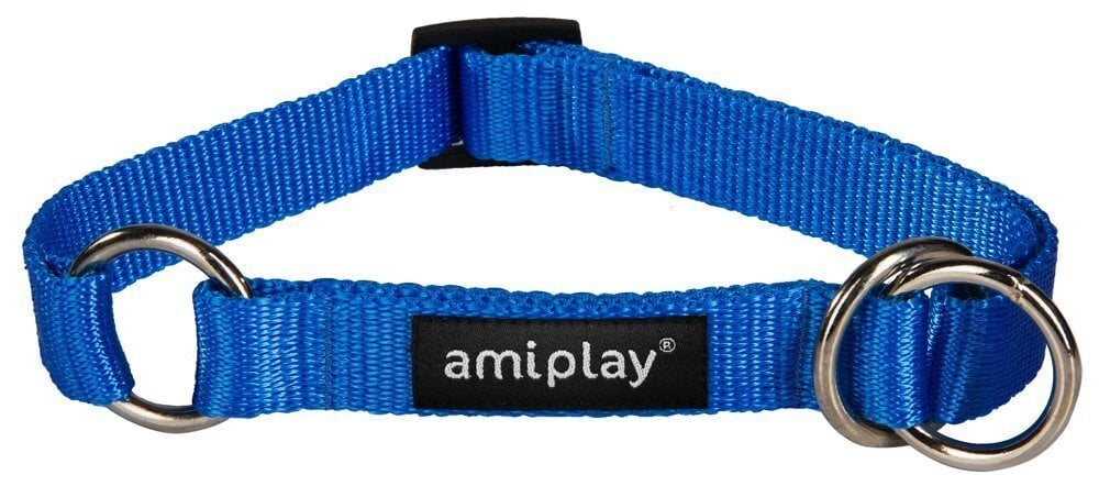 Poolpoov kaelarihm Amiplay Basic, XL, sinine hind ja info | Koerte kaelarihmad ja traksid | hansapost.ee