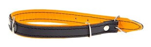 Musta värvi kaelarihm Amibelle oranži sisemusega, XL hind ja info | Koerte kaelarihmad ja traksid | hansapost.ee