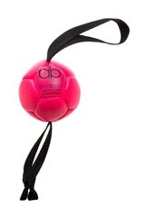 Amibelle маленький мяч с силиконовым наполнителем для собак, розовый 9 см цена и информация | Игрушки для собак | hansapost.ee