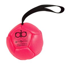 Надувной мяч Amibelle для собак, розовый 10 см цена и информация | Игрушки для собак | hansapost.ee