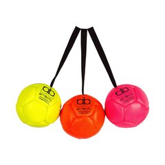 Täispuhutav pall koertele Amibelle, roosa 10 cm hind ja info | Koerte mänguasjad | hansapost.ee