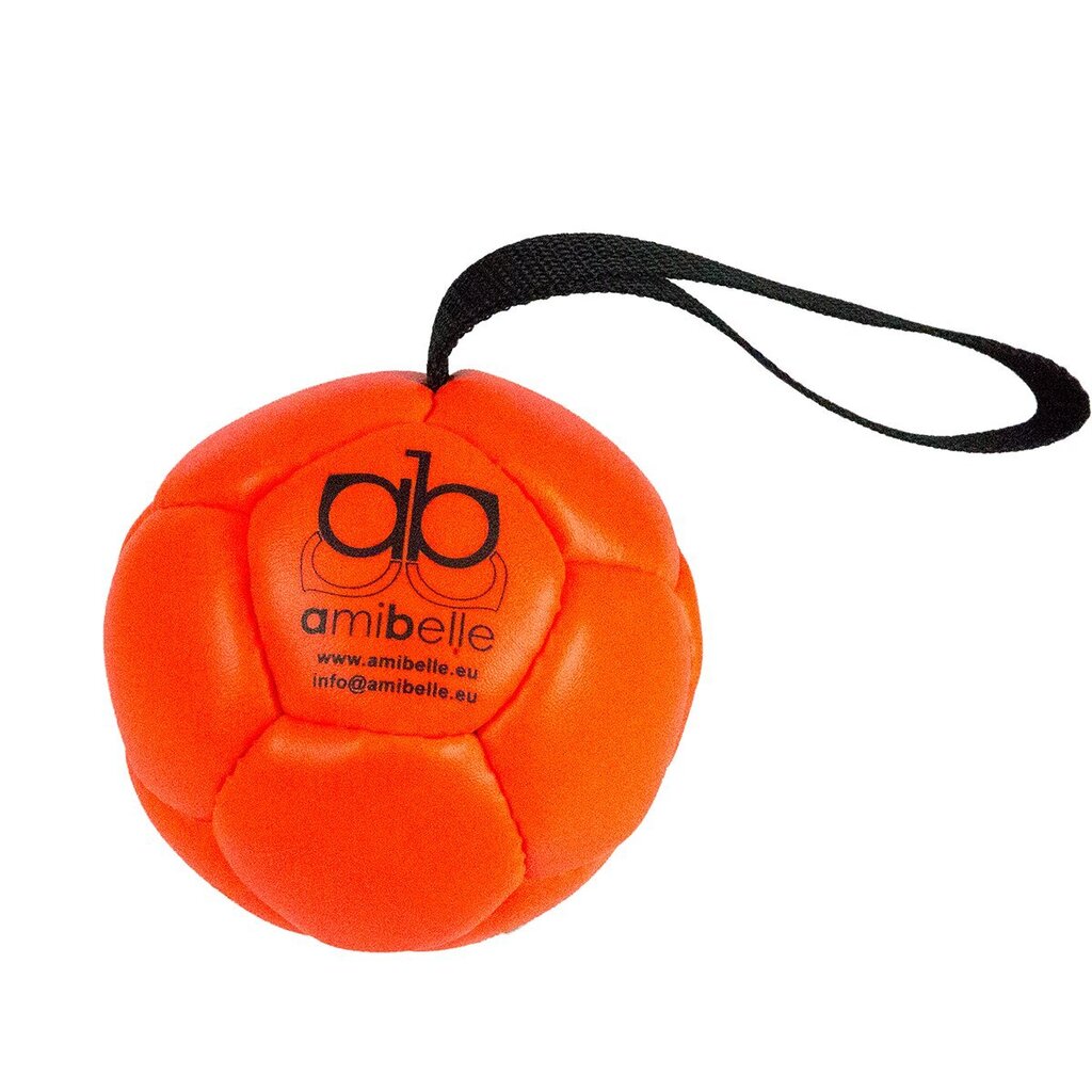 Täispuhutav pall koertele Amibelle, oranž 10 cm hind ja info | Koerte mänguasjad | hansapost.ee