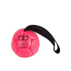 Väike pall koertele silikoonist täitega Amibelle, roosa 9 cm цена и информация | Игрушки для собак | hansapost.ee