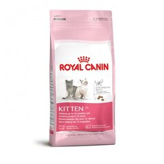  Сухой корм Royal Canin Kitten для котят, 4 кг цена и информация | Сухой корм для кошек | hansapost.ee