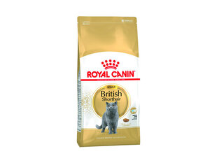 Royal Canin British Shorthair 0.4 kg цена и информация | Сухой корм для кошек | hansapost.ee