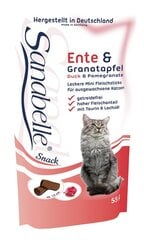 Sanabelle Adult Ostrich (с мясом страуса) 2 кг  + 2 x Snack Duck 55 г цена и информация | Сухой корм для кошек | hansapost.ee