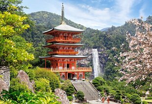 Пазл Castorland Seiganto-ji-Temple, 1000 дет. цена и информация | Пазлы | hansapost.ee