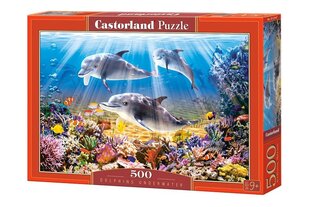 Пазл "Dolphins Underwater" Castorland, 500 шт цена и информация | Пазлы | hansapost.ee