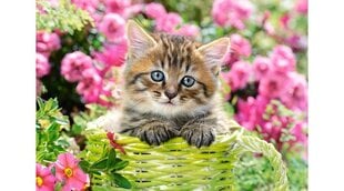 Pusle Castorland Kitten in Flower Garden, 500-osaline hind ja info | Pusled lastele ja täiskasvanutele | hansapost.ee