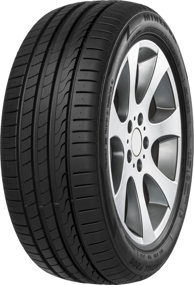 Minerva F205 205/55R17 95 W XL hind ja info | Suverehvid | hansapost.ee