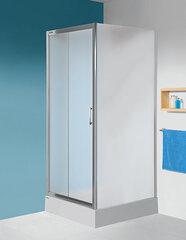 Душевая стена Sanplast TX SS/TX5b 100s, профиль- белый, декорированное стекло Сora цена и информация | Душевые двери и стены | hansapost.ee