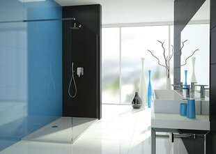 Walk-In dušikabiin Sanplast TX P/TX5b 110s, profiil valge, kaunistatud klaas cora hind ja info | Dušiseinad ja dušiuksed | hansapost.ee