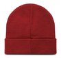 Champion müts, punane hind ja info | Mütsid, sallid ja kindad meestele | hansapost.ee