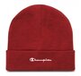 Champion müts, punane hind ja info | Mütsid, sallid ja kindad meestele | hansapost.ee