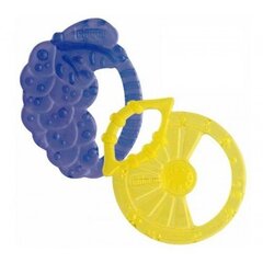 Silikoonist närimisrõngas Chicco Soft Relax Grapes & Lemon, 2 tk hind ja info | Närimismänguasjad lastele | hansapost.ee