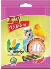 Vitapol Premium Smakers maiuspala viirpapagoidele (2 tk) 90g цена и информация | Корм для птиц | hansapost.ee