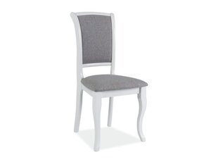 Комплект из 2 стульев MNSC, цвет: белый/серый цена и информация | Стулья для кухни и столовой | hansapost.ee