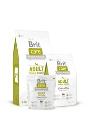 Brit Care Adult Small Breed Lamb & Rice 7,5 kg цена и информация | Сухой корм для собак | hansapost.ee