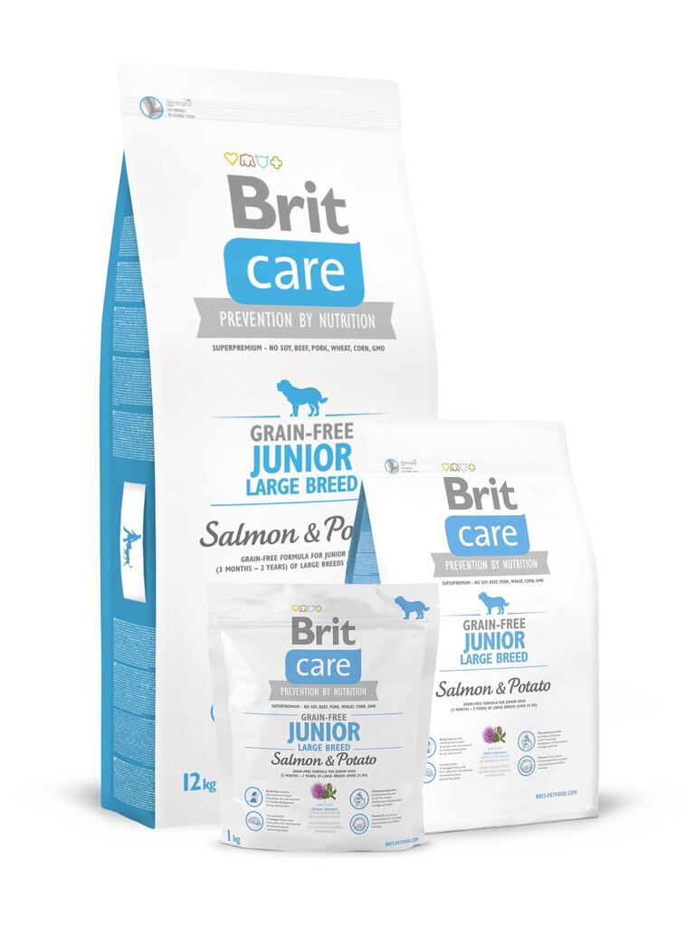 Brit Care Junior Large Breed Salmon & Potato koeratoit 12 kg hind ja info | Koerte kuivtoit ja krõbinad | hansapost.ee