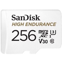 SanDisk MicroSDXC 256GB цена и информация | Карты памяти | hansapost.ee