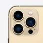 Apple iPhone 13 Pro 256GB Gold цена и информация | Telefonid | hansapost.ee