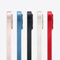 Apple iPhone 13 mini 128GB Blue MLK43ET/A цена и информация | Telefonid | hansapost.ee