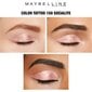 Maybelline Eye Studio Color Tattoo lauvärv 4 ml, 150 Socialite hind ja info | Lauvärvid, ripsmetušid ja silmapliiatsid | hansapost.ee