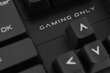 Juhtmega mänguri klaviatuur White Shark Samurai GK-1622 цена и информация | Klaviatuurid | hansapost.ee