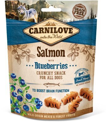 Carnilove Dog Snack Salmon & Blueberries maiused koerale 200g hind ja info | Koerte maiused | hansapost.ee