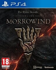 PlayStation 4 Mäng Elder Scrolls Online: Morrowind цена и информация | Компьютерные игры | hansapost.ee