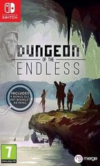 Nintendo Switch mäng Dungeon of the Endless hind ja info | Konsooli- ja arvutimängud | hansapost.ee