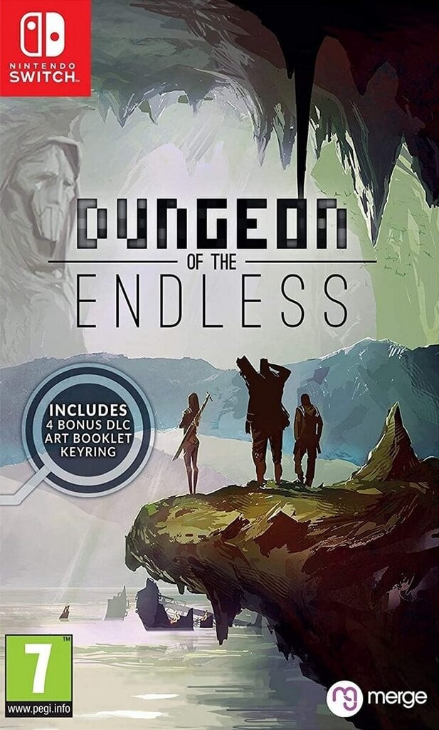 Nintendo Switch mäng Dungeon of the Endless цена и информация | Konsooli- ja arvutimängud | hansapost.ee