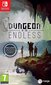 Nintendo Switch mäng Dungeon of the Endless цена и информация | Konsooli- ja arvutimängud | hansapost.ee