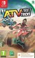 Nintendo Switch mäng ATV Drift and Tricks - Digital Download цена и информация | Konsooli- ja arvutimängud | hansapost.ee