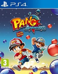 PS4 Pang Adventures: Buster Edition цена и информация | Компьютерные игры | hansapost.ee