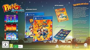PS4 Pang Adventures: Buster Edition цена и информация | Компьютерные игры | hansapost.ee
