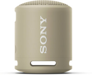 Sony SRSXB13C.CE7, серый цена и информация | Аудиоколонки | hansapost.ee