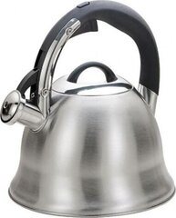 Чайник kettle Maestro MR-1320 Silver, 3 л цена и информация | Чайники, кофейники | hansapost.ee