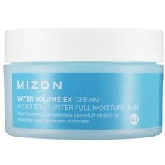 Niisutav näokreem Mizon Water Volume Ex Cream 100 ml hind ja info | Näokreemid | hansapost.ee