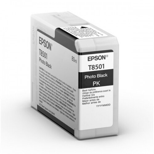 Epson T850100 Photo Black Ultra Chrome HD 80ml цена и информация | Tindiprinteri kassetid | hansapost.ee